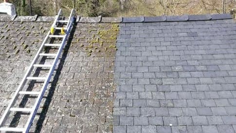 Roof with moss before treatment